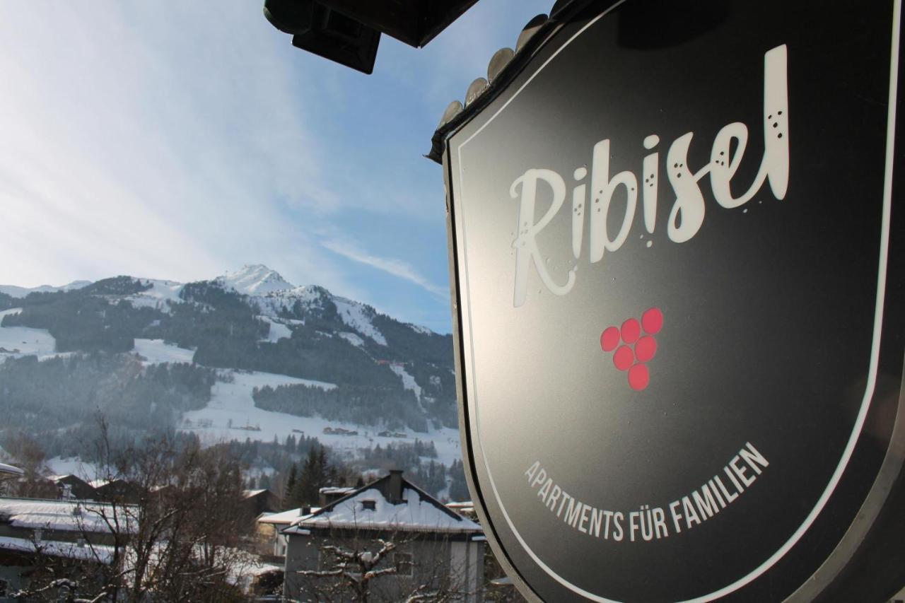 באד הופגסטין Ribisel Apartments Fuer Familien - Alpentherme Inklusive! מראה חיצוני תמונה